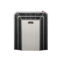 CALEFACTOR MULTIGAS TB 2900 kcal-GN SALIDA HORIZ - TITANIO x1u
