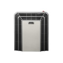 CALEFACTOR MULTIGAS TBU 2900 kcal-GN SALIDA VERT - TITANIO x1u.