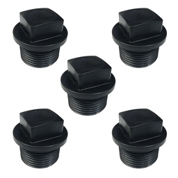 TAPON ROSCADO 1" PACK X 5u.