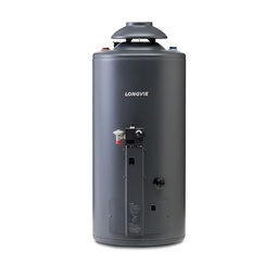 TERMOTANQUE POTENCIADO 56LTS GRAFITO APOYAR/COLGAR C.SUP. x1u.