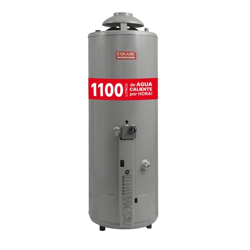 [EK.A6J] TERMOTANQUE SALIDA VERT. DE 5" ALTA RECUP.1100L/H GRIS MULTIGAS